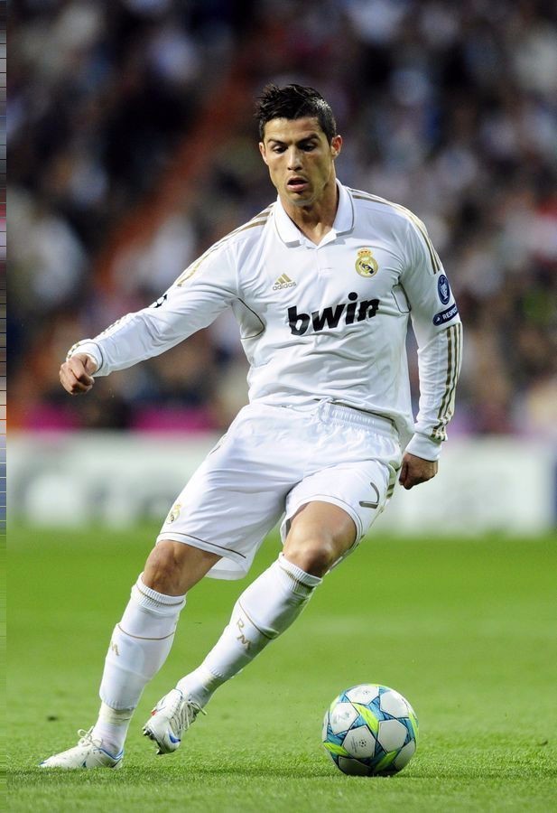 一支专业化 一支专业化