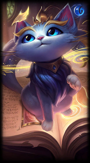 如何共同塑 如何共同塑